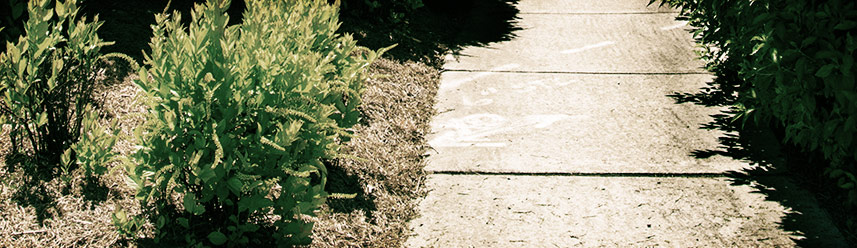 永久免费轰炸电话网页版